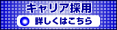 �L�����A�̗p