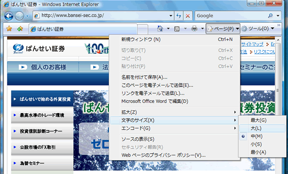 Windows Internet Explorer 7.xx